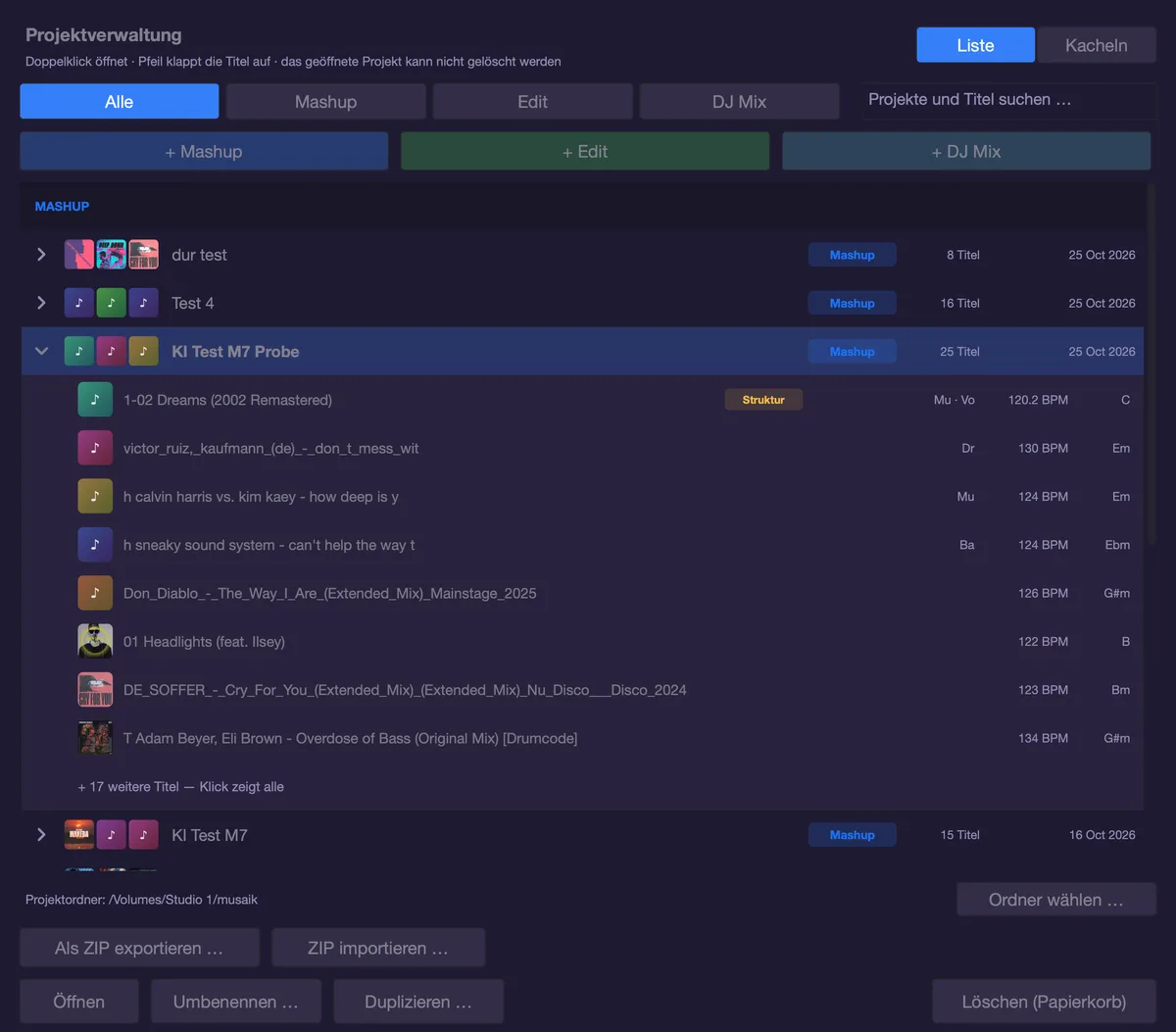 musaik Projektverwaltung als Liste: ein Mashup aufgeklappt mit Struktur-Master, Rollen, BPM und Tonart je Titel
