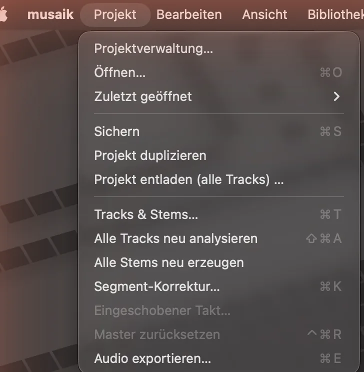 Das Menü „Projekt“.