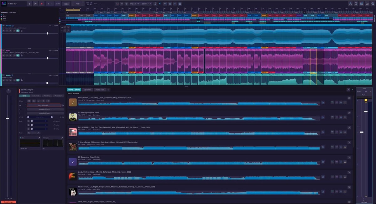 Der untere Bereich mit Tracks & Stems.